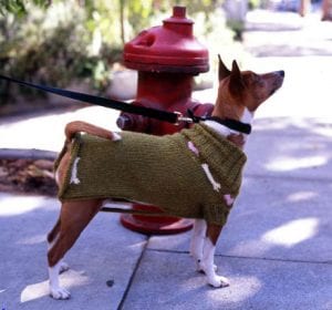 Make DIY Dog Sweater