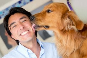 dog-lick-face-common-dog-behaviors