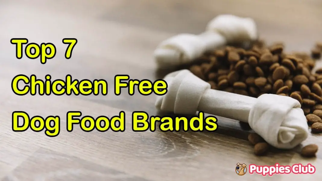 chicken-free-dog-food-brands
