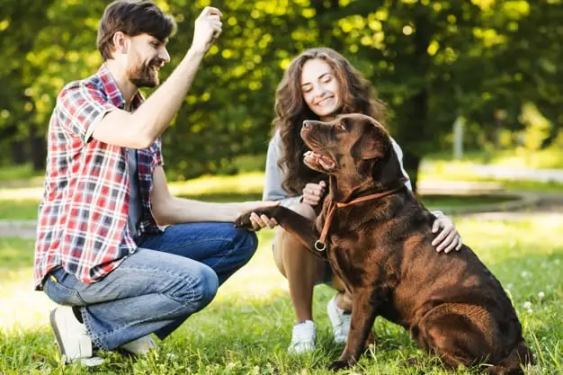 couple-playing-with-their-dog-park