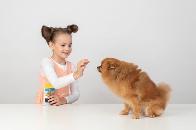 strong-relationship-between-child-and-dog